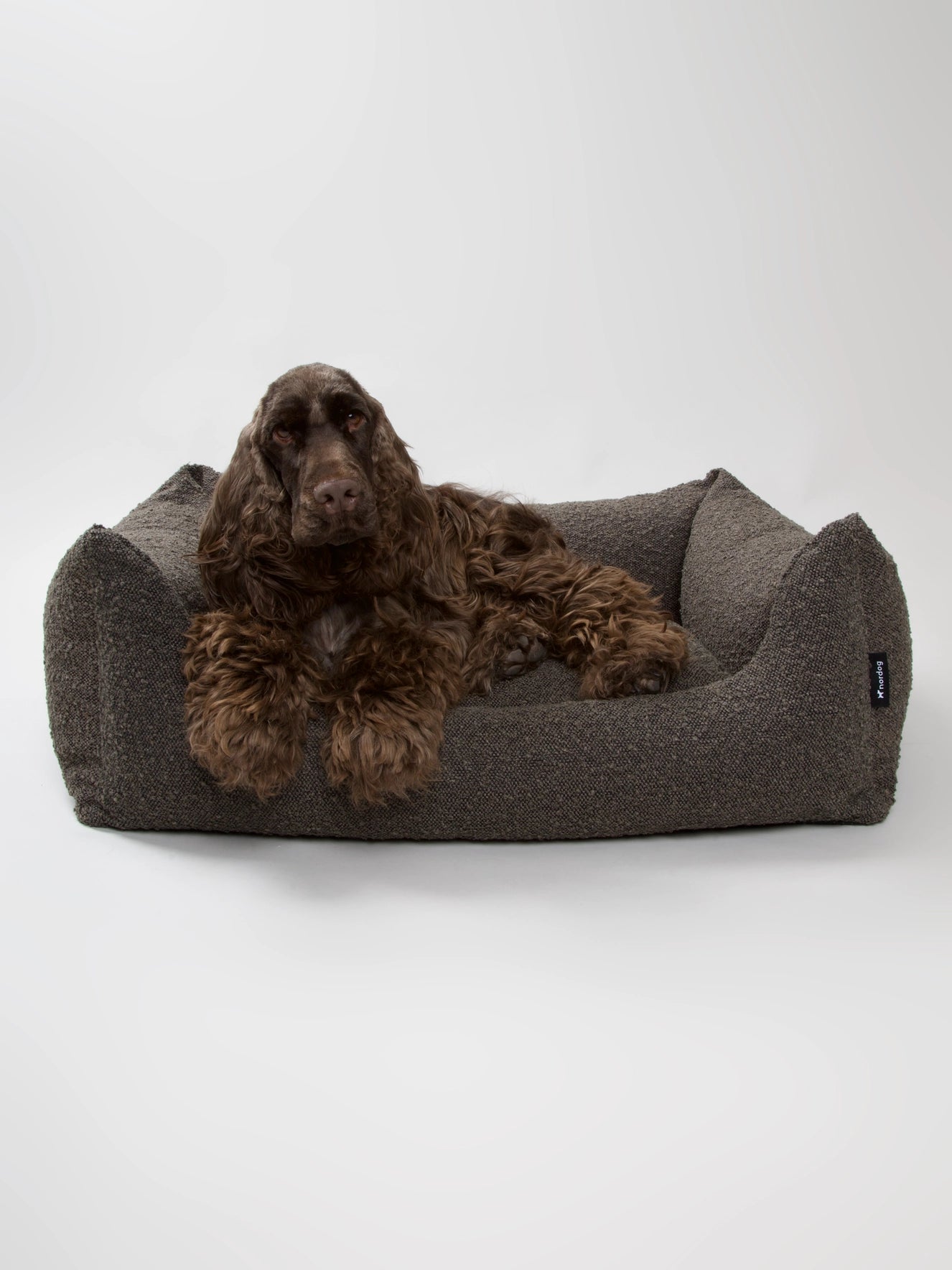 Billy Bouclé Dog Bed Mocca