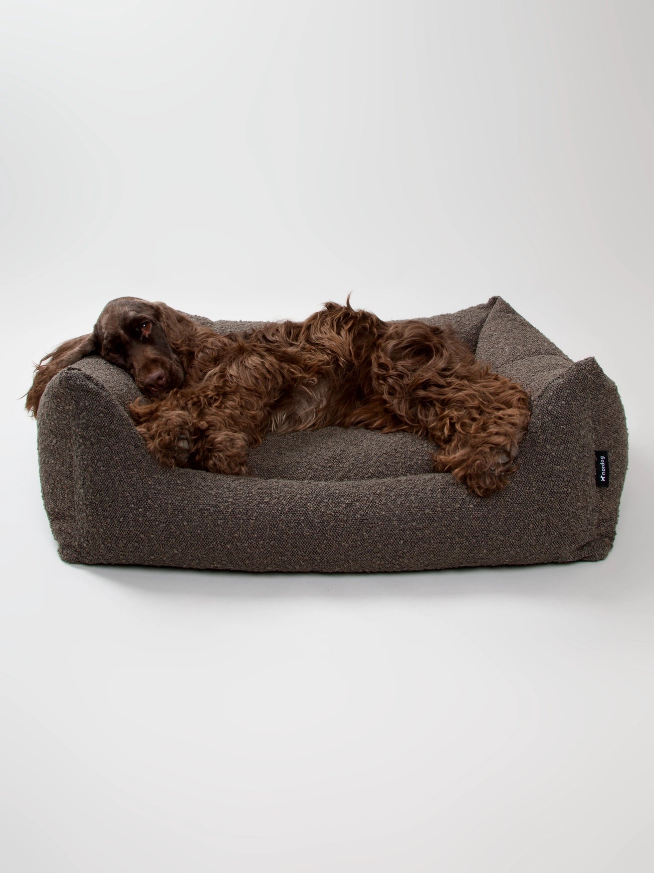 Billy Bouclé Dog Bed Mocca