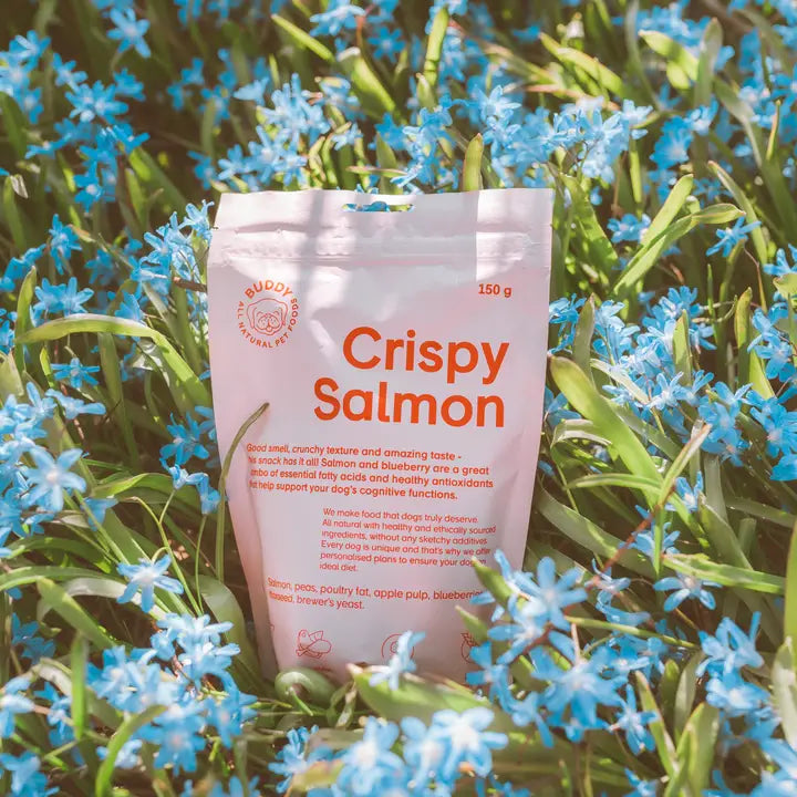 Buddy Crunchy Snack Salmon with Blueberries 150 G
