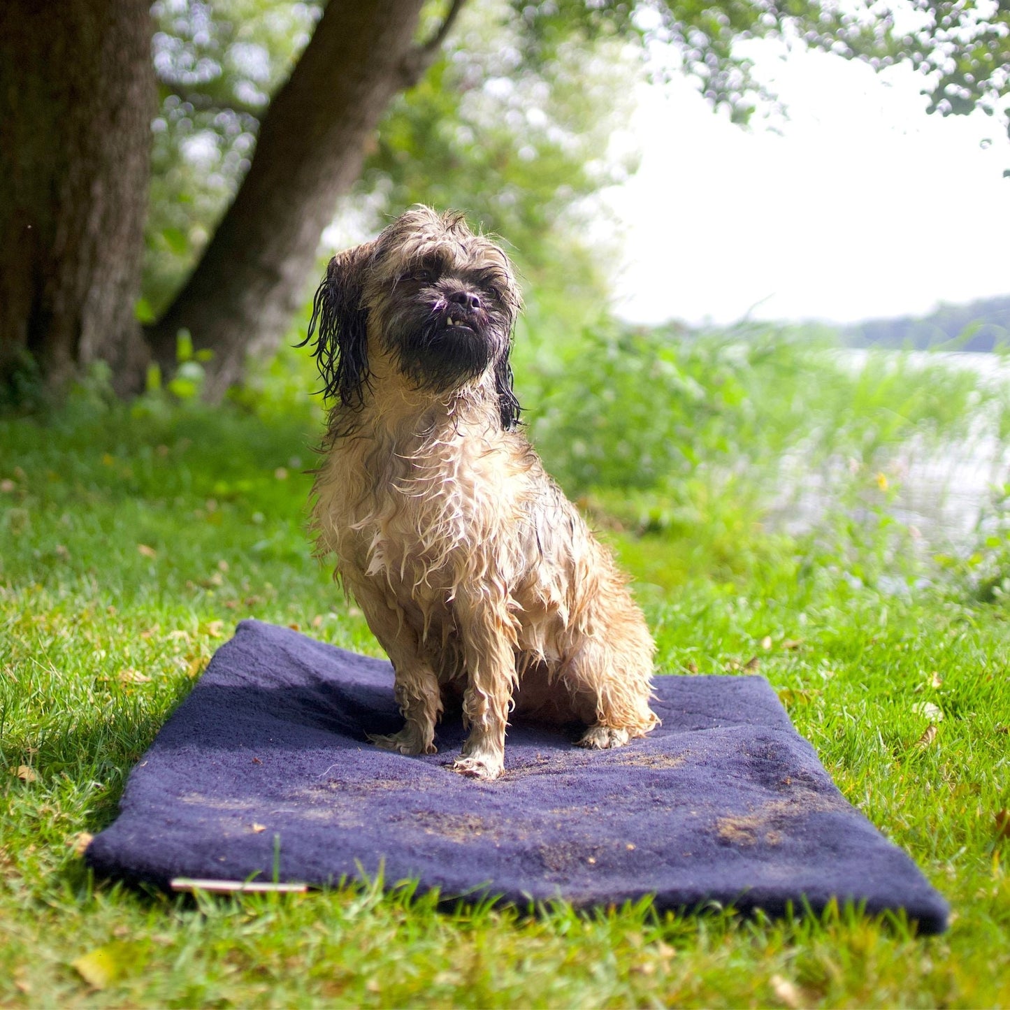 Flexdog Drying Mats