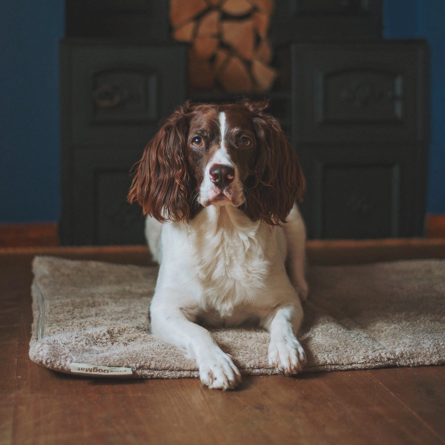 Flexdog Drying Mats