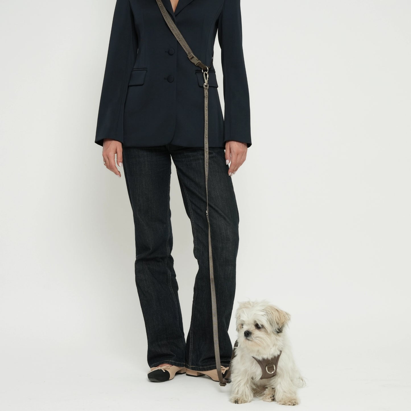 Hands-Free Dog Leash – Mocha