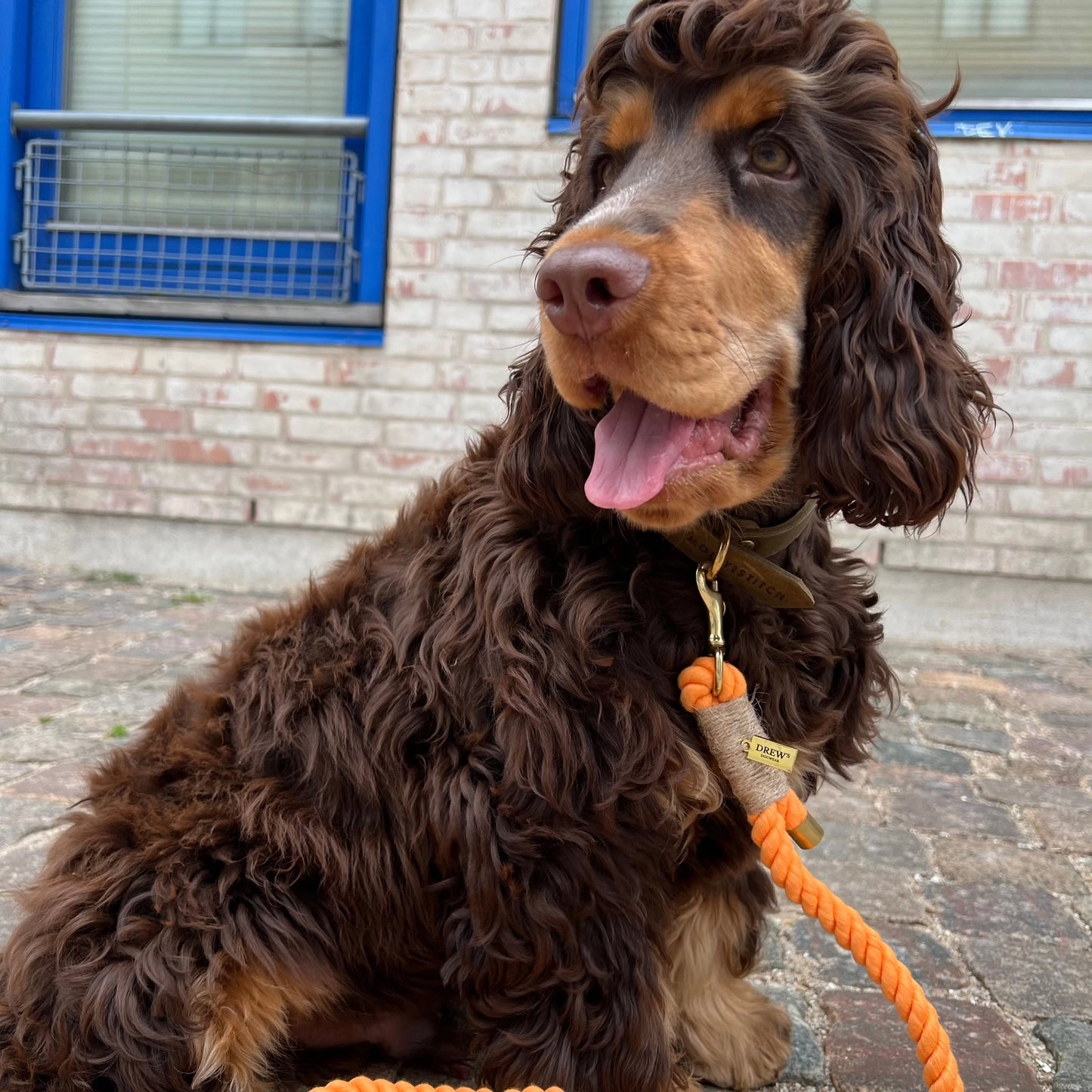 Fersken / Håndfri Blød Hundesnor (Orange)