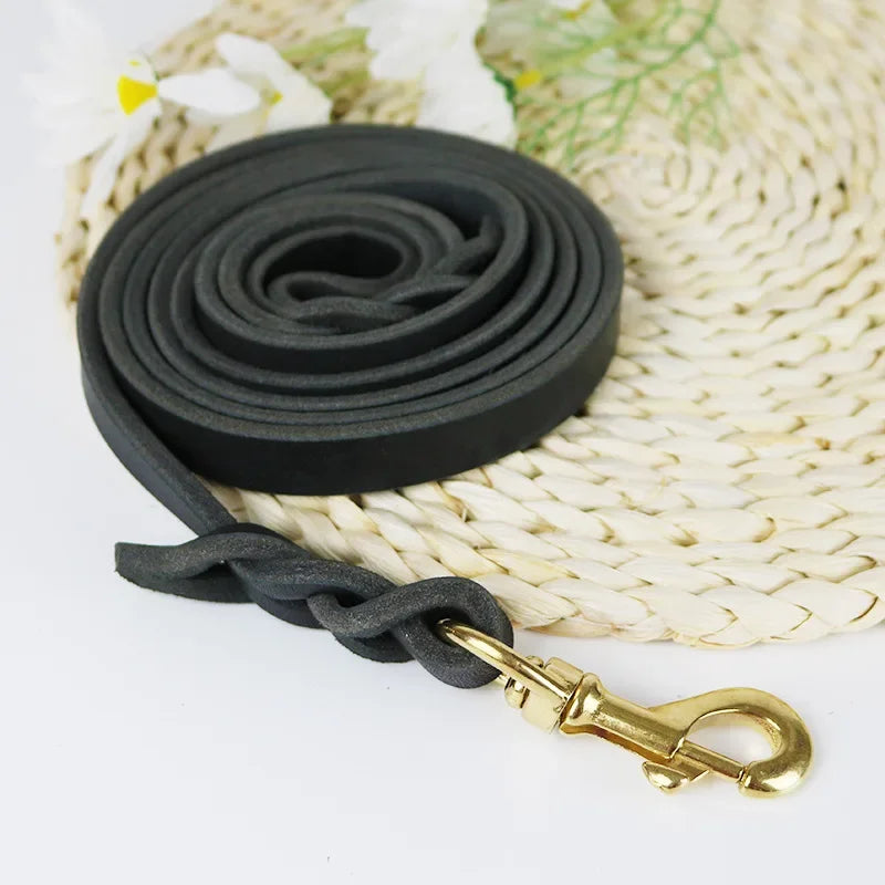 Leather Dog Leash (<35 kg)