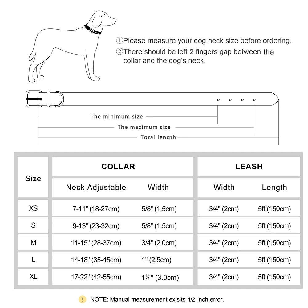 Personligt Læder Hundehalsbånd & Snor Sæt