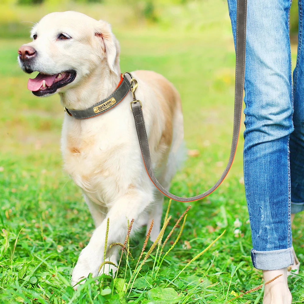 Personligt Læder Hundehalsbånd & Snor Sæt