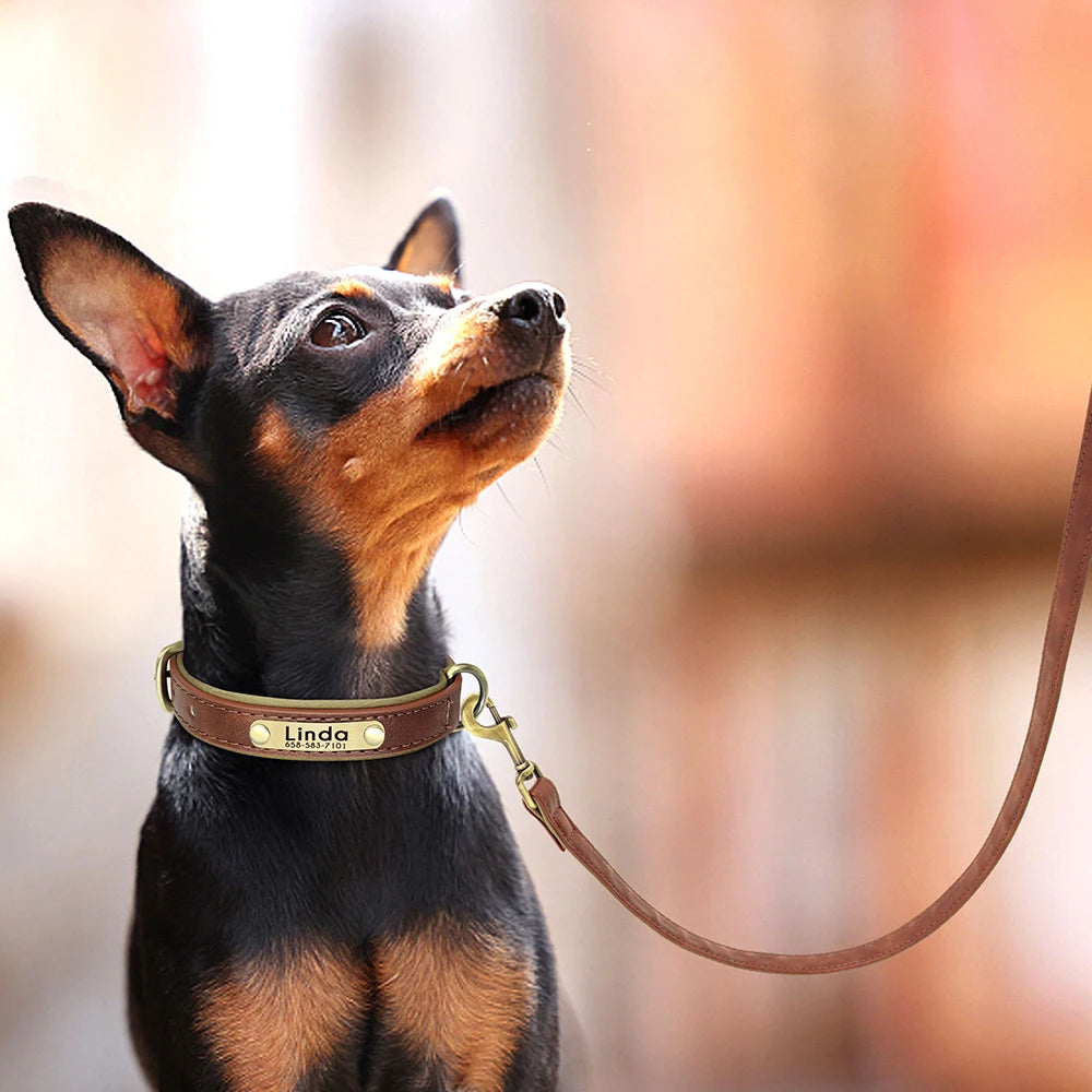 Personligt Læder Hundehalsbånd & Snor Sæt