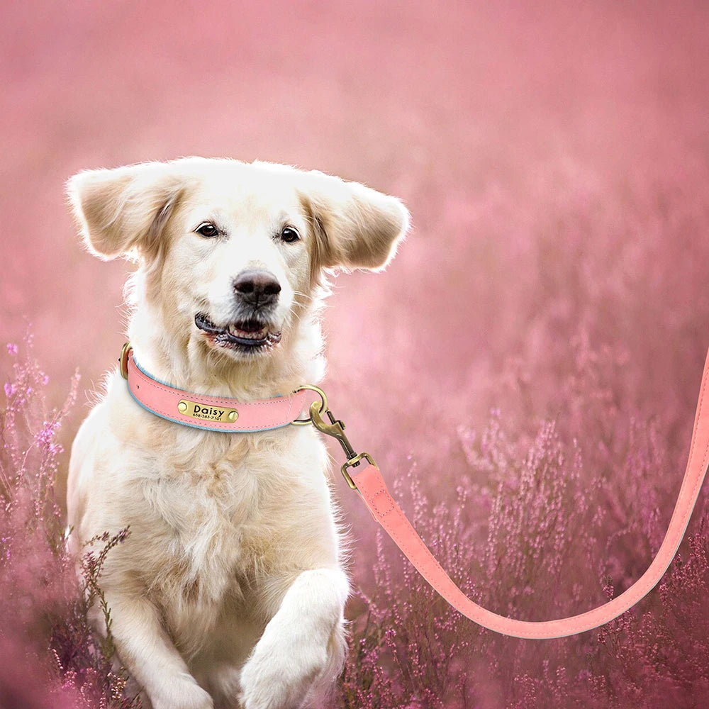 Personligt Læder Hundehalsbånd & Snor Sæt