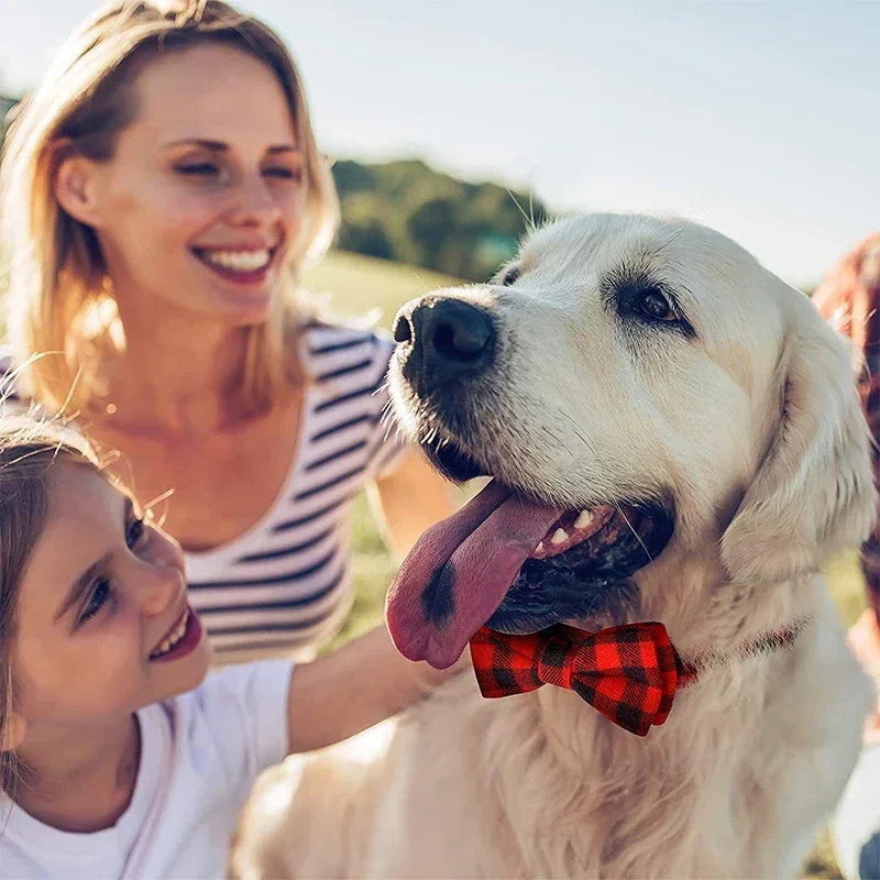 Sløjfe Hundehalsbånd