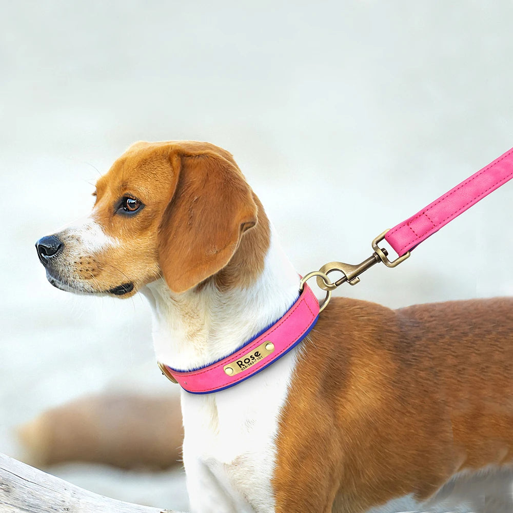 Personligt Læder Hundehalsbånd & Snor Sæt