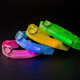 LED Lights for Dogs