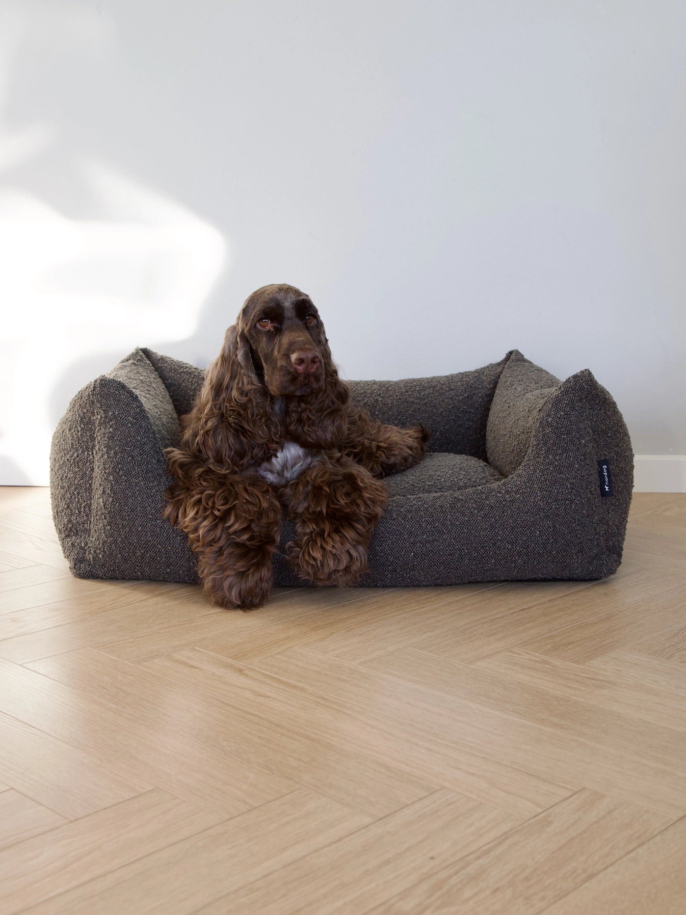 Billy Bouclé Dog Bed Mocca