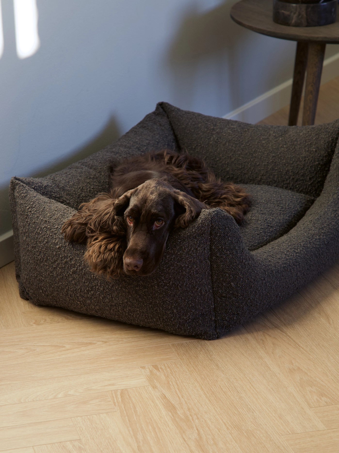 Billy Bouclé Dog Bed Mocca