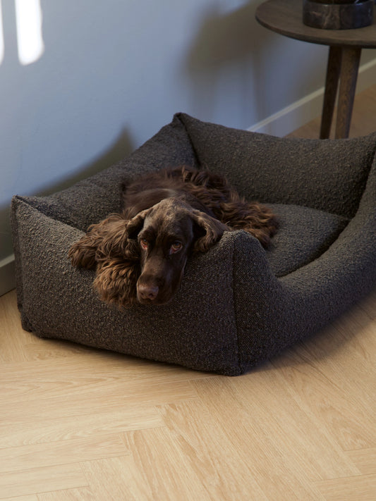 Billy Bouclé Dog Bed Mocca