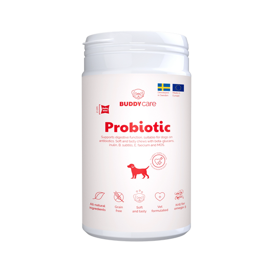Buddy Care Probiotic 150 G
