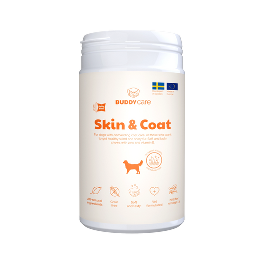 Buddy Care Skin & Coat 150 G