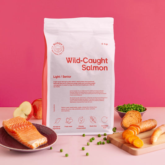 Buddy Wild Caught Salmon 2 Kg