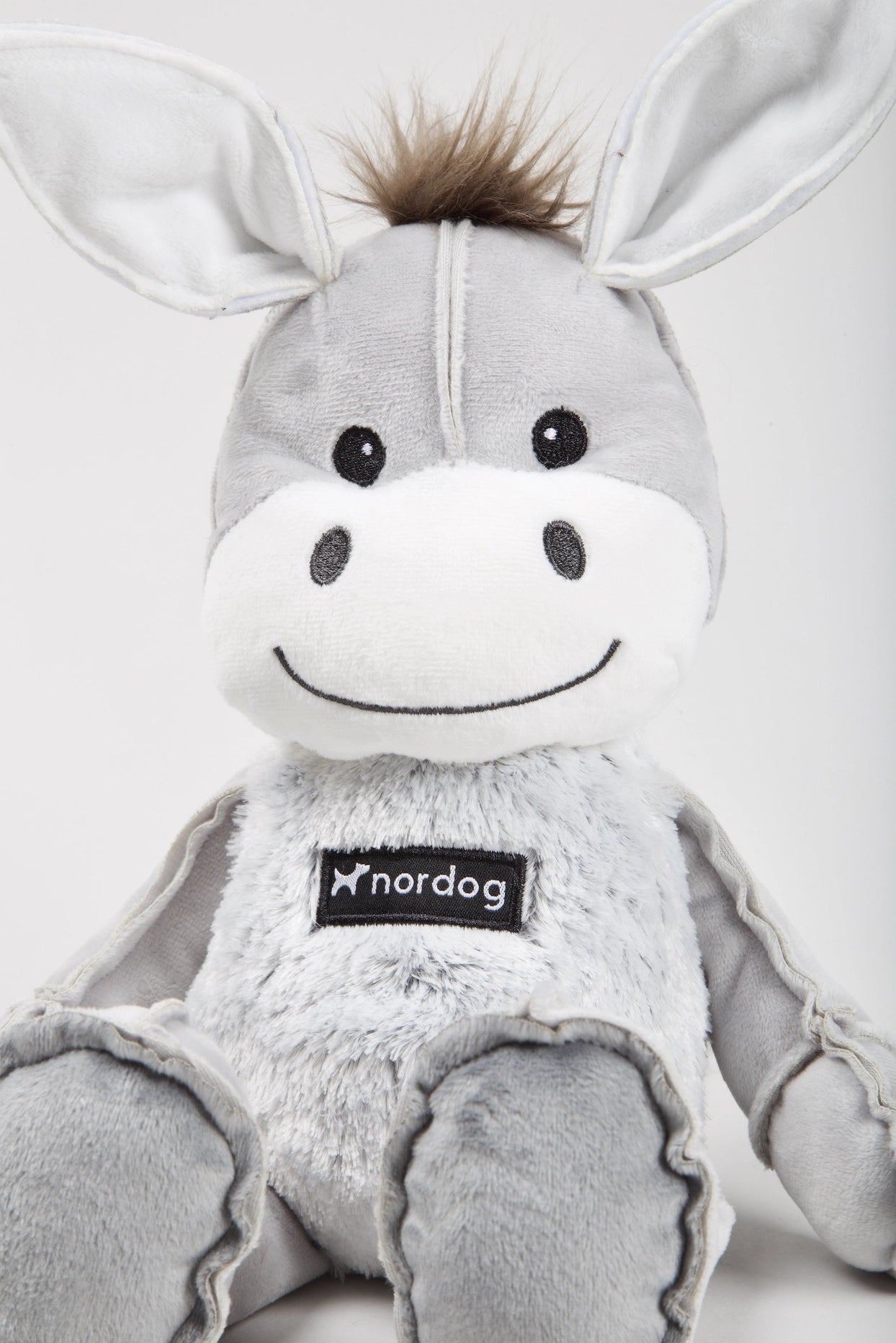 Dix the Donkey