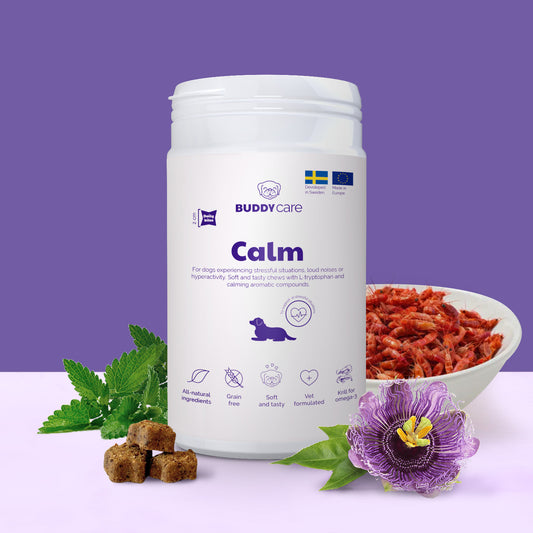 Dog Supplements Buddy Care Calm 150 G