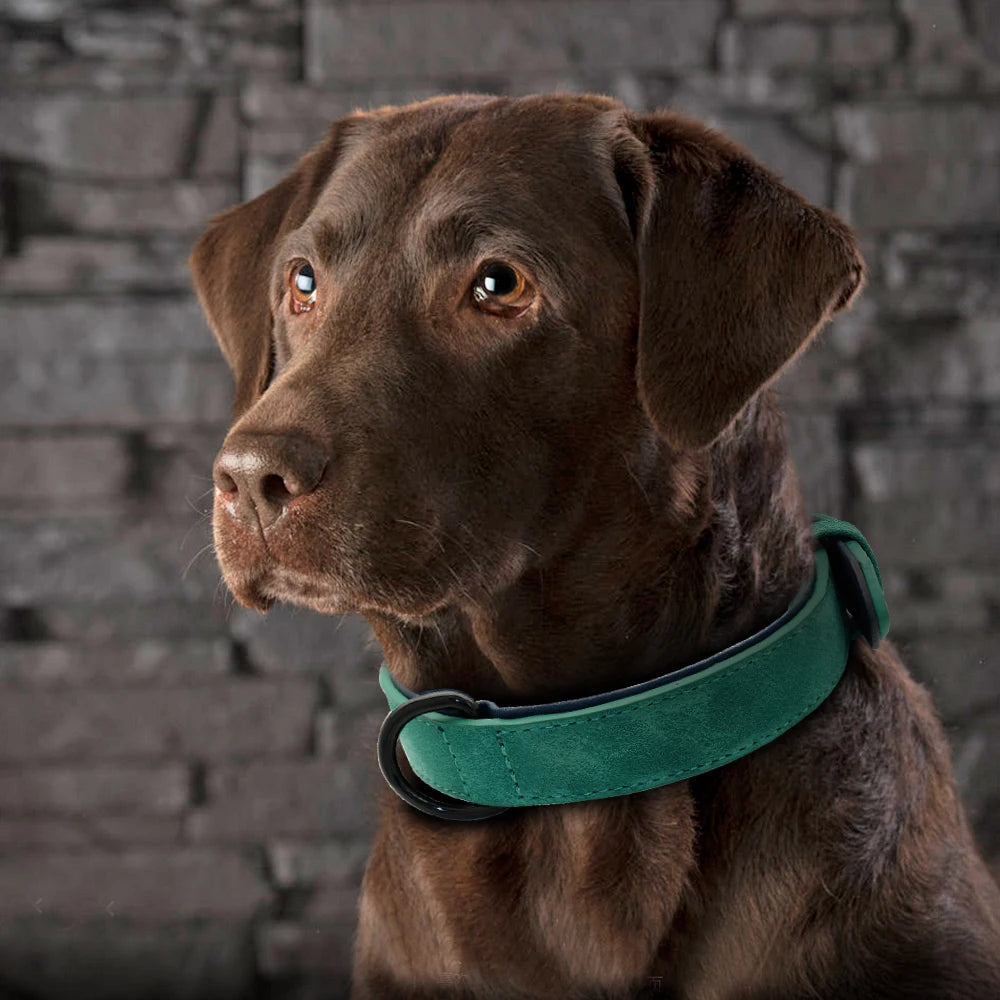 Luksus Polstret Læder Hundehalsbånd