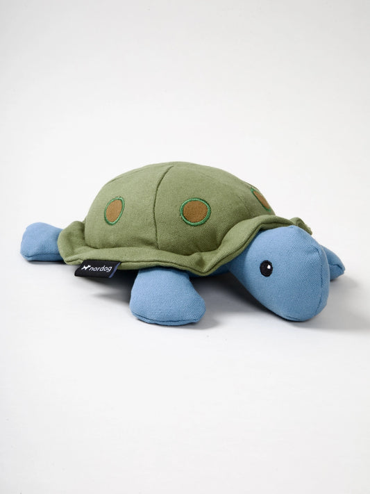 Kim the Turtle