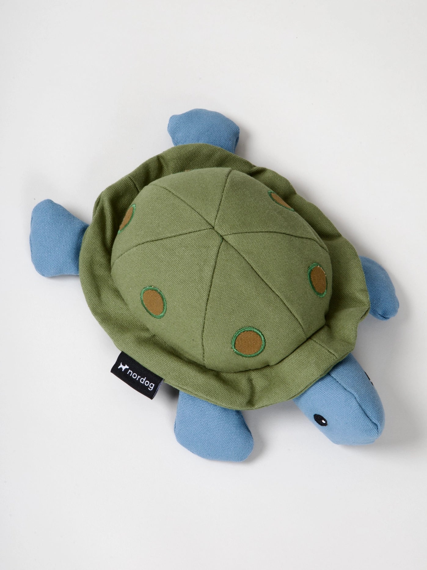 Kim the Turtle
