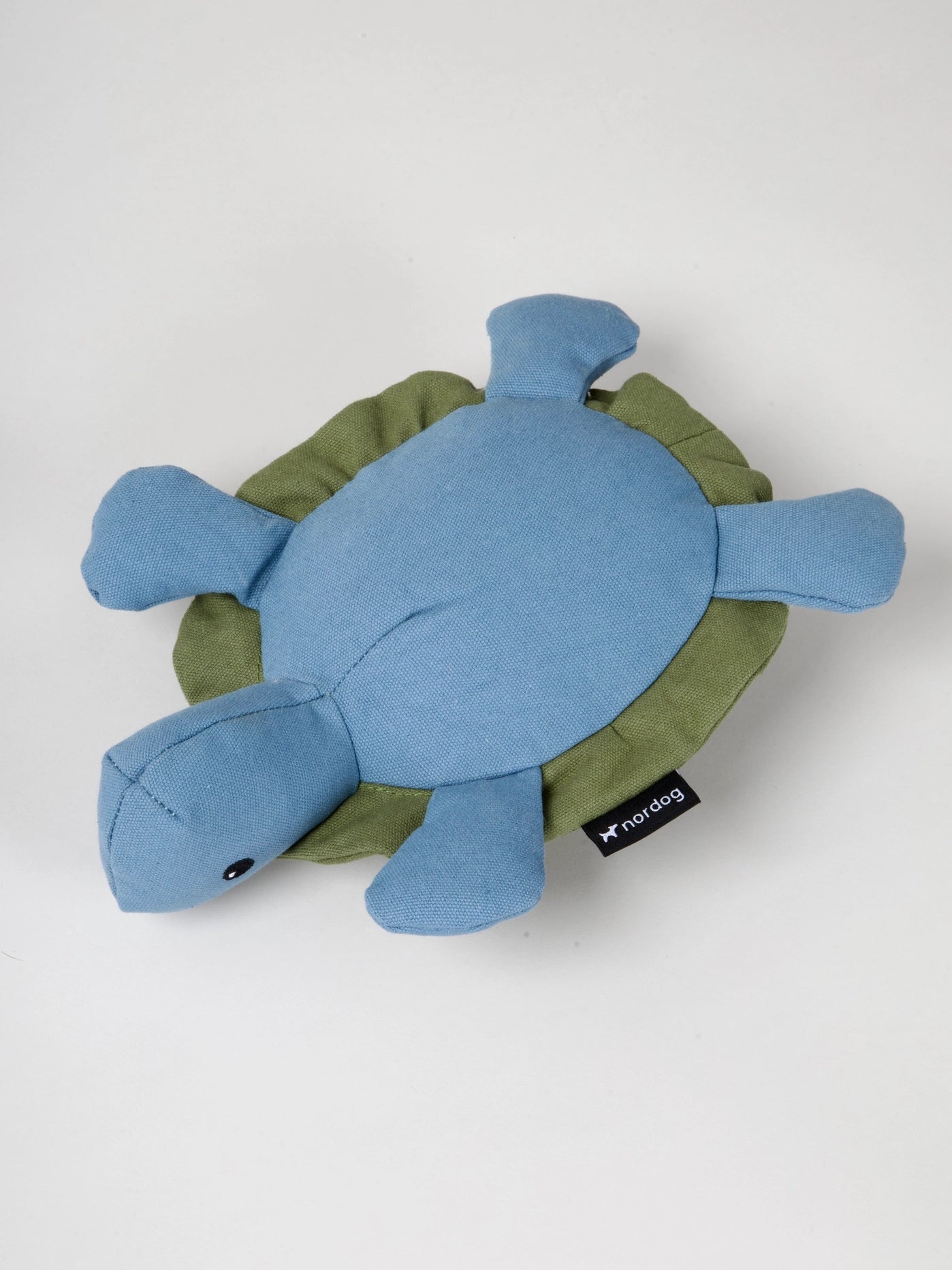 Kim the Turtle