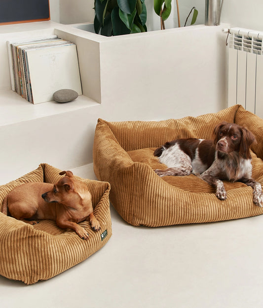 Mustard Corduroy Dog Bed, Snozy
