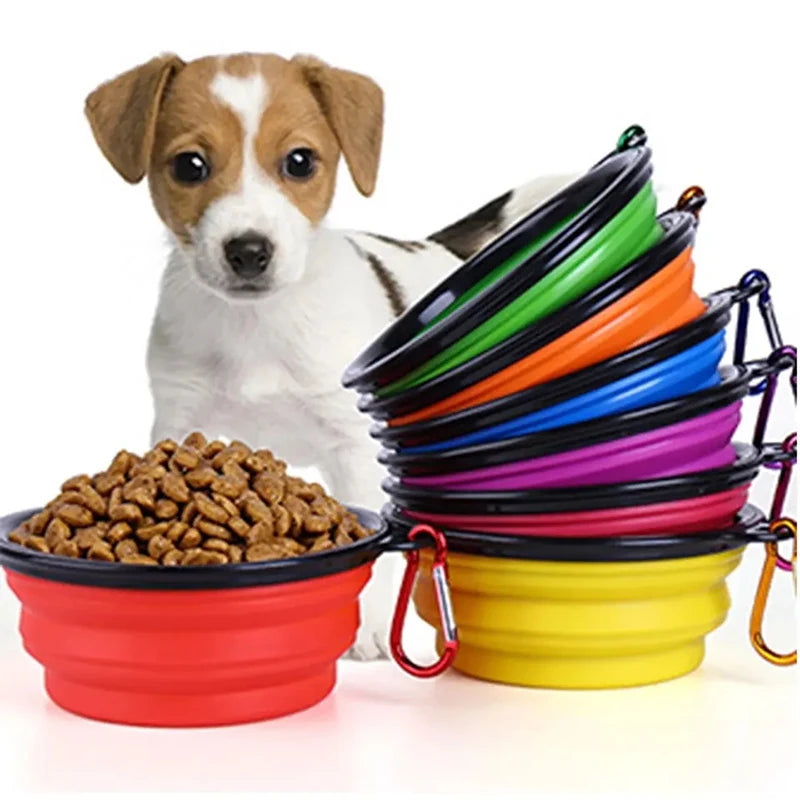Collapsible Travel Dog Bowl with Carabiner