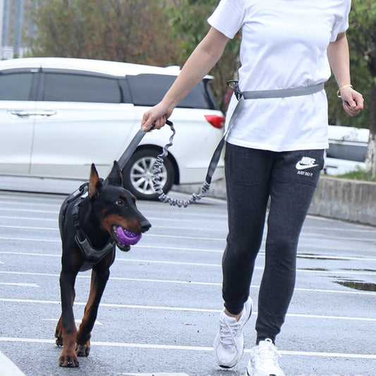 Håndfri Sport Hundesnor (<40 kg)