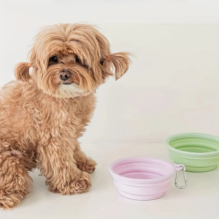 Foldbar Silikoneskål til Hunde