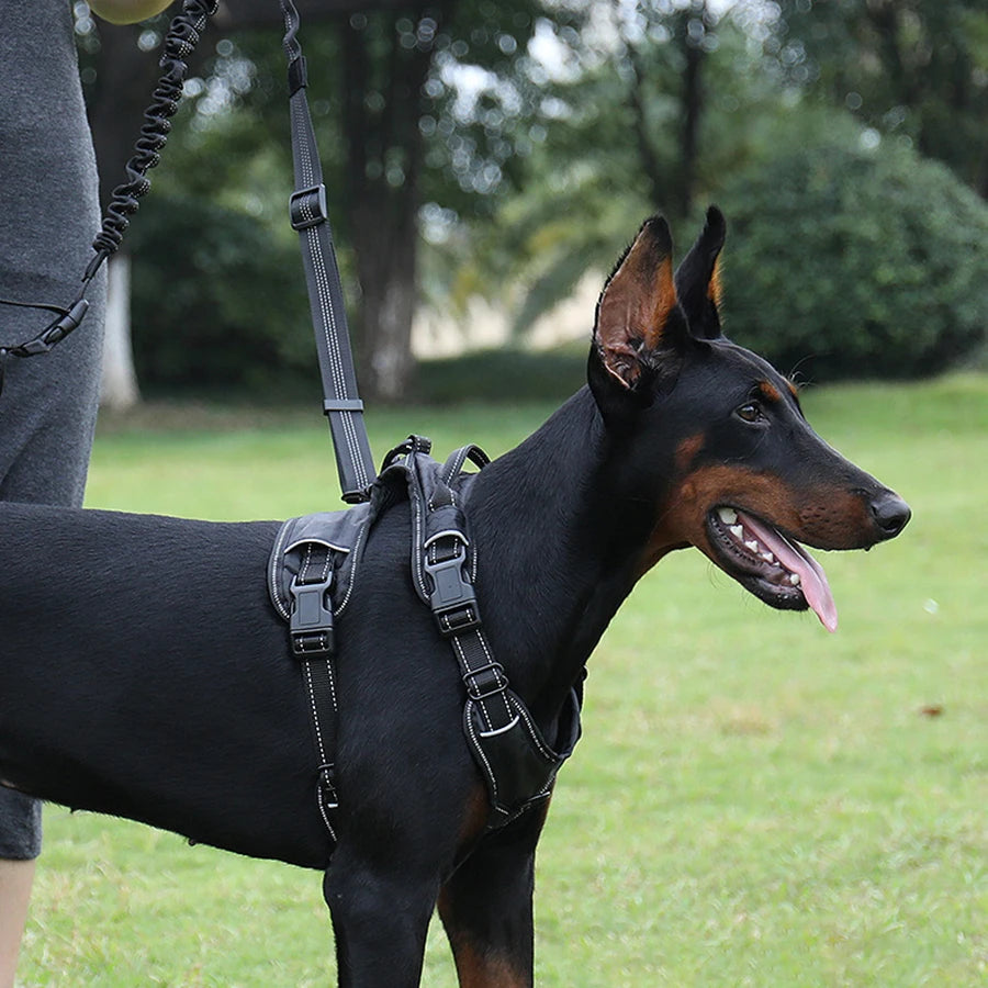 Håndfri Sport Hundesnor (<40 kg)
