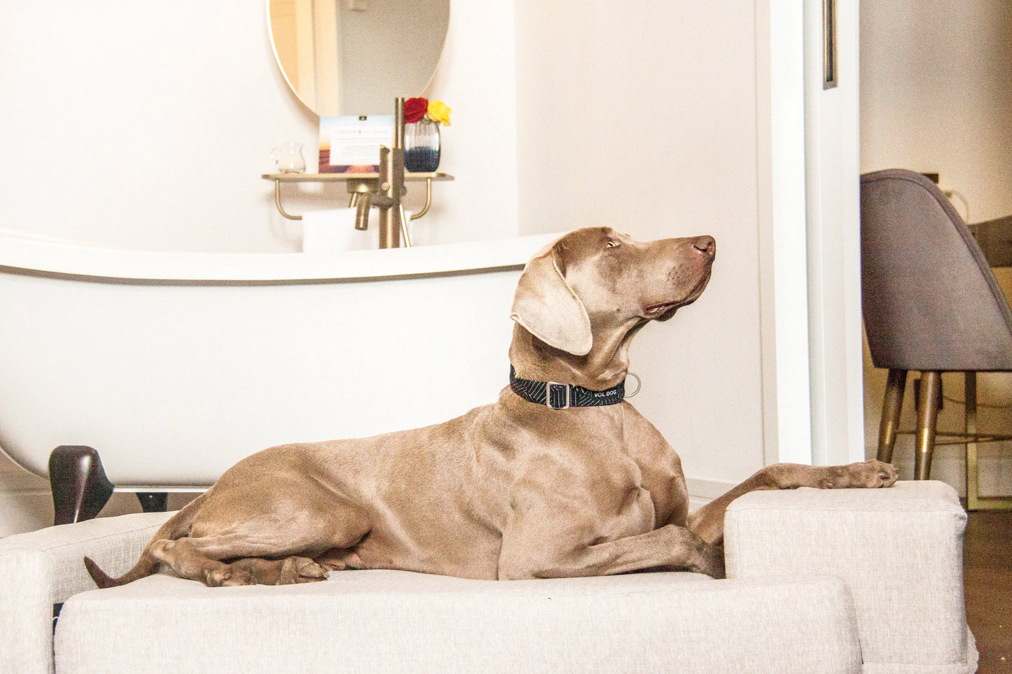 Sofa Dog Bed Othopedic
