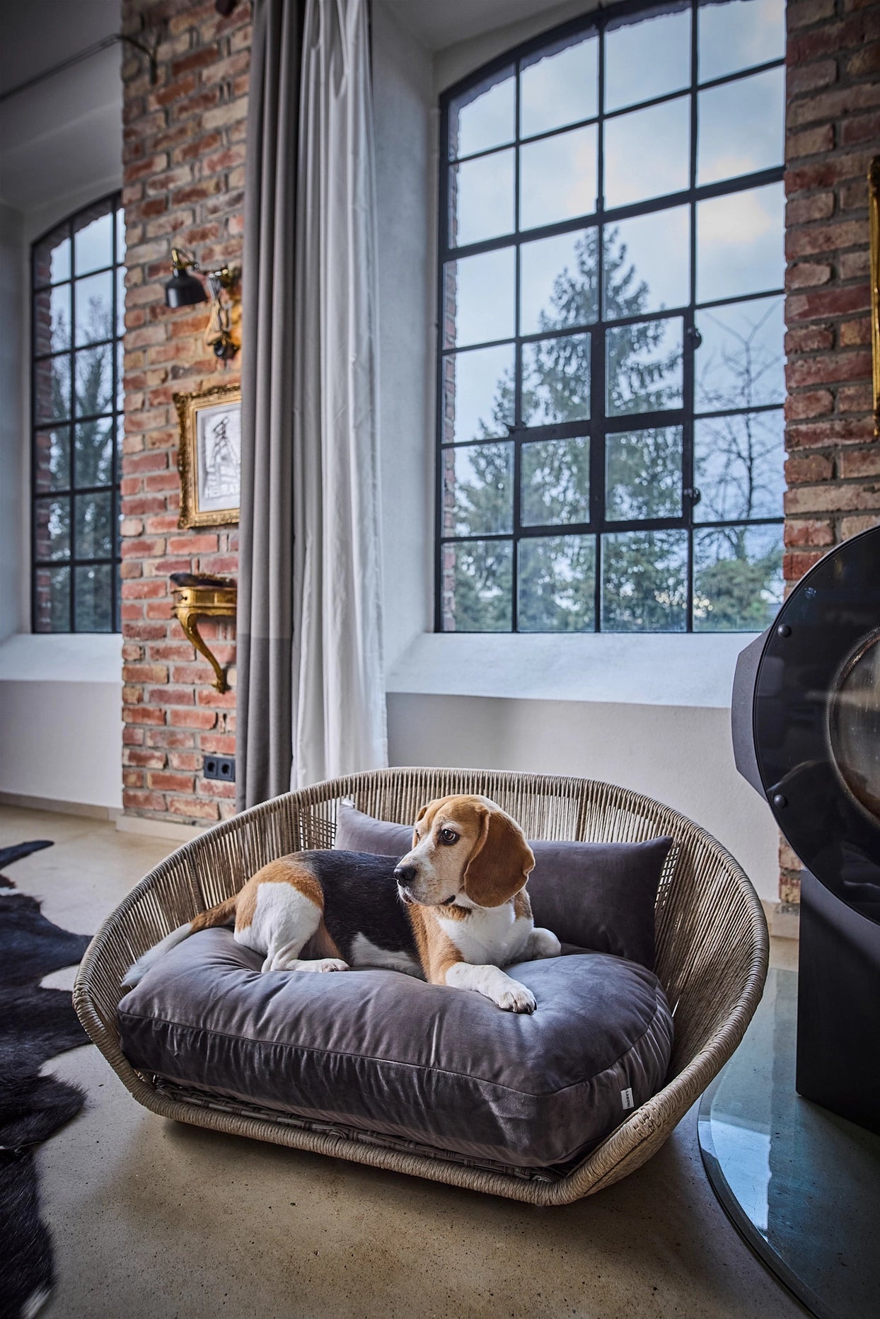 Vogue Dog Bed - Oxford Collection