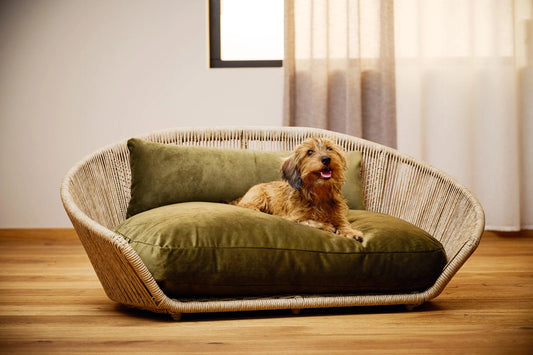 Vogue Dog Bed - Oxford Collection